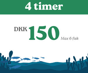 4 timers fiskning - Børn under 13