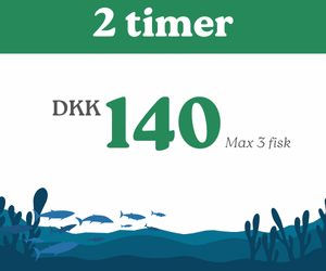 2 timer fiskning