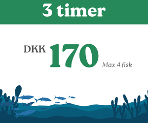 3 timer fiskning