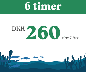 6 timer fiskning